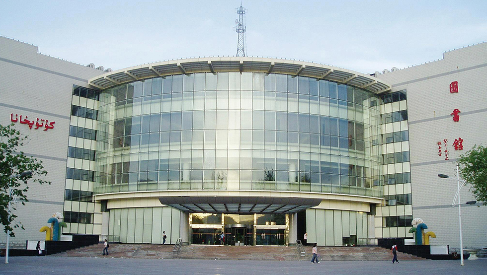 新疆大學